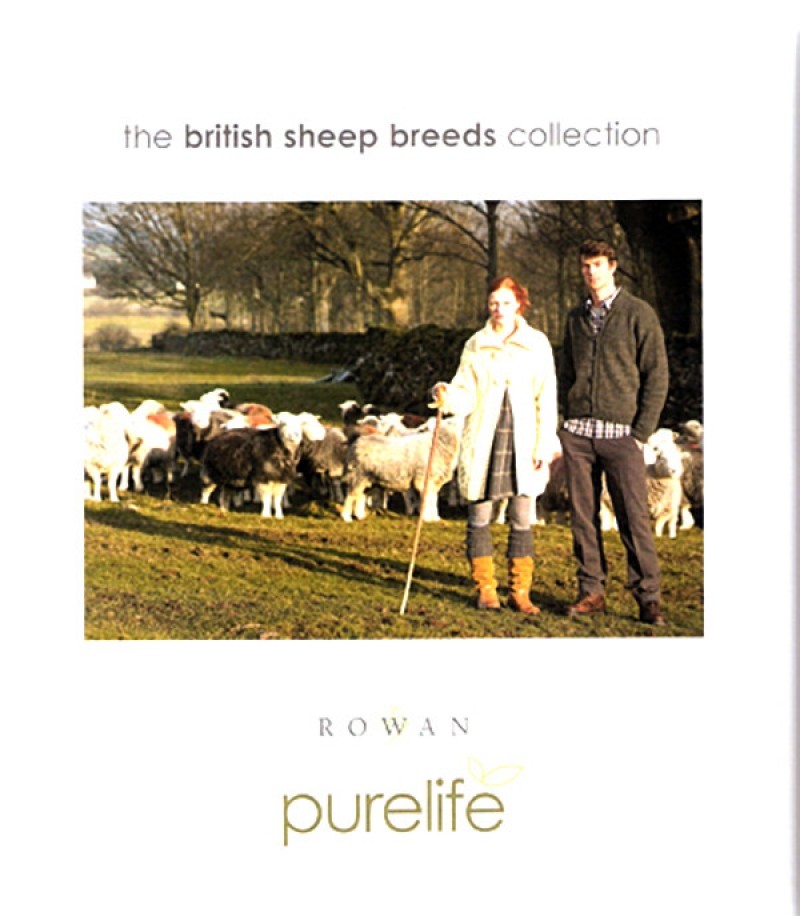 the british sheep breeds collection